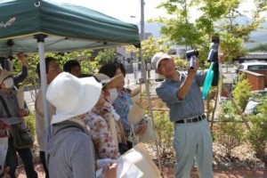 緑のカーテン教室